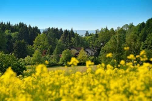 Hardegsen Altes Forsthaus Goseplack酒店 外观 照片